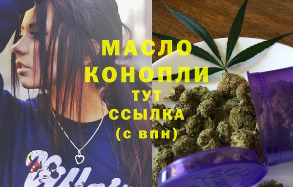 дживик Абинск